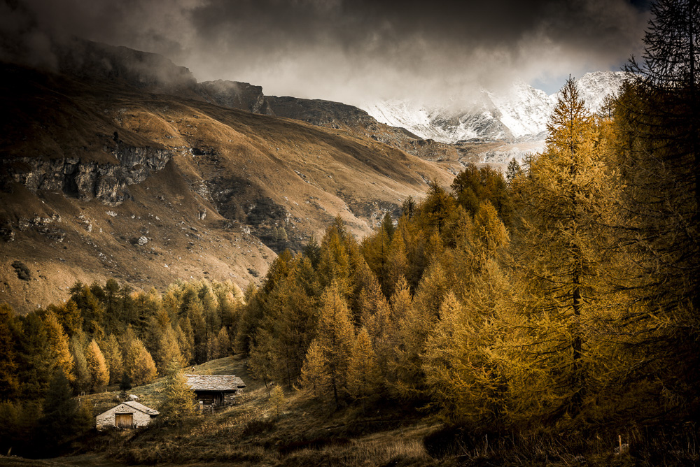 2. Platz Robert Seitz